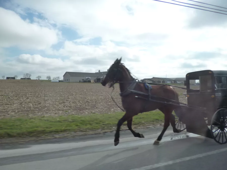 Lancaster County is Amish country